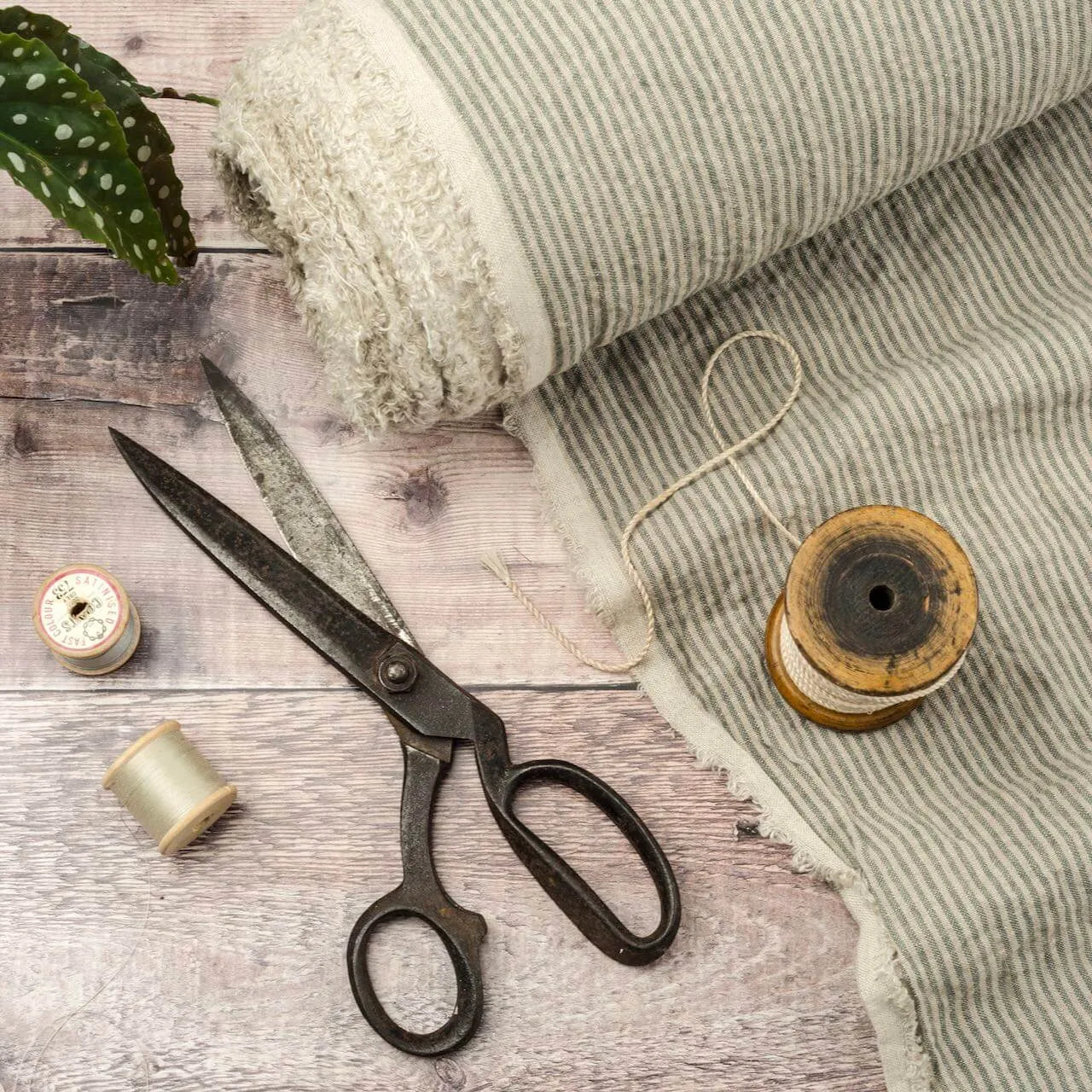 Greyish Green Stripes linen fabric, ready to cut, with scissors, thread bobbins and flowers