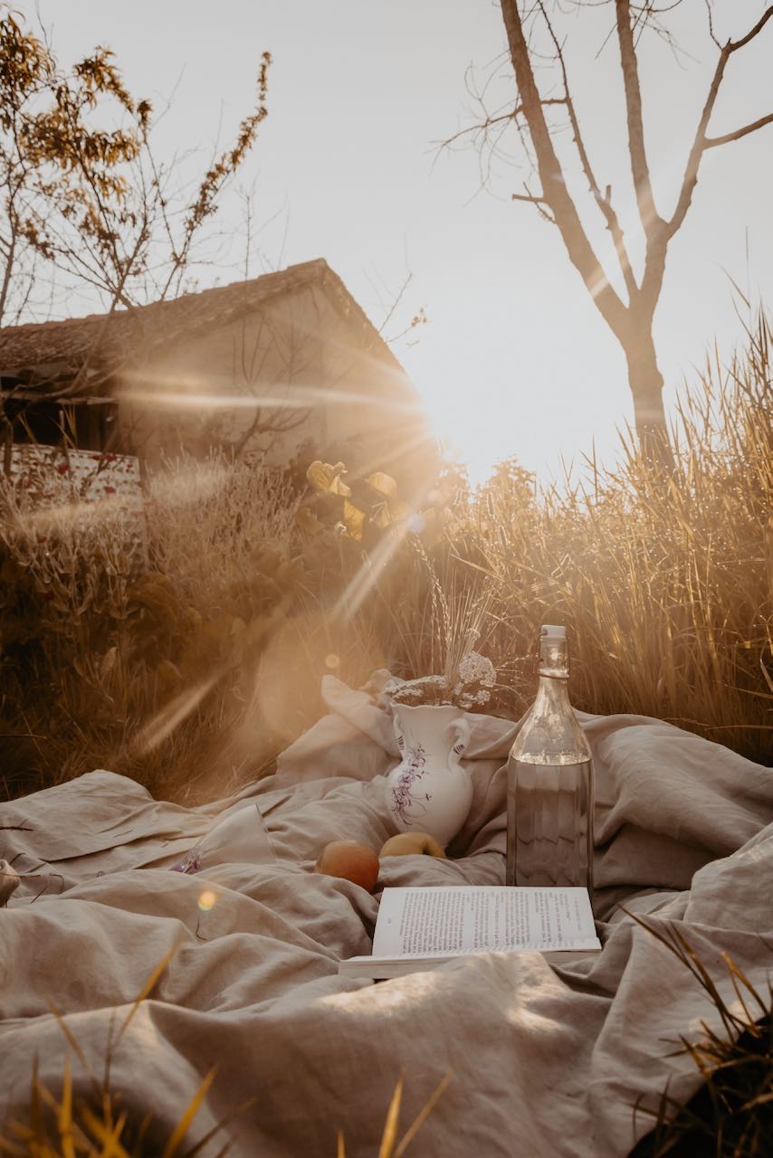 camille-brodard-lQuVopCowyc-unsplash_8e308398-3792-4a84-b8ca-b11ce526f398.jpg